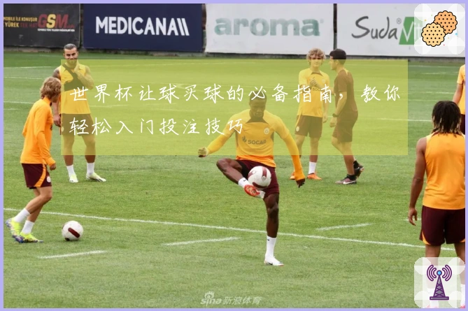 世界杯让球买球的必备指南，教你轻松入门投注技巧