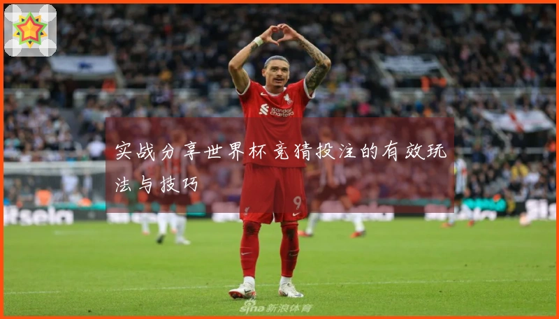 实战分享世界杯竞猜投注的有效玩法与技巧