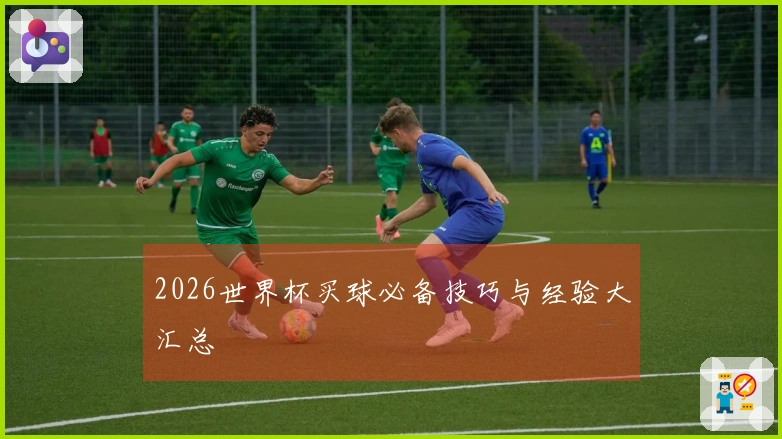 2026世界杯买球必备技巧与经验大汇总