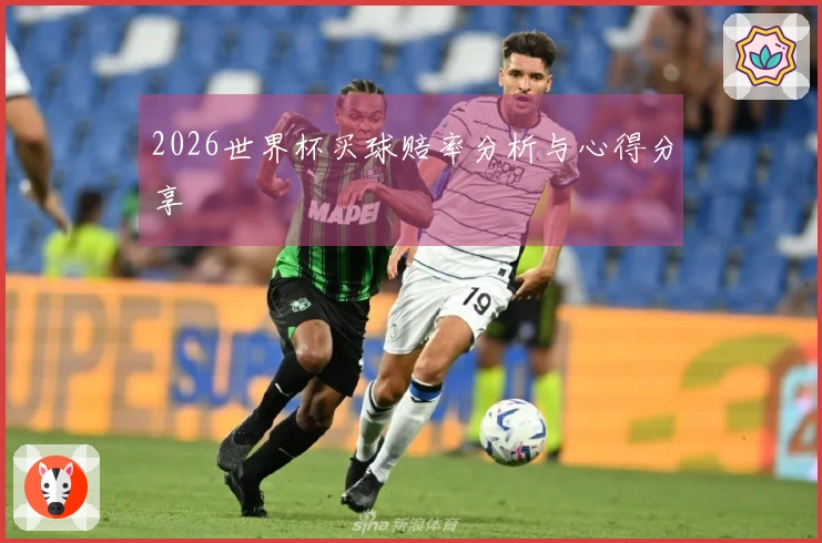 2026世界杯买球赔率分析与心得分享