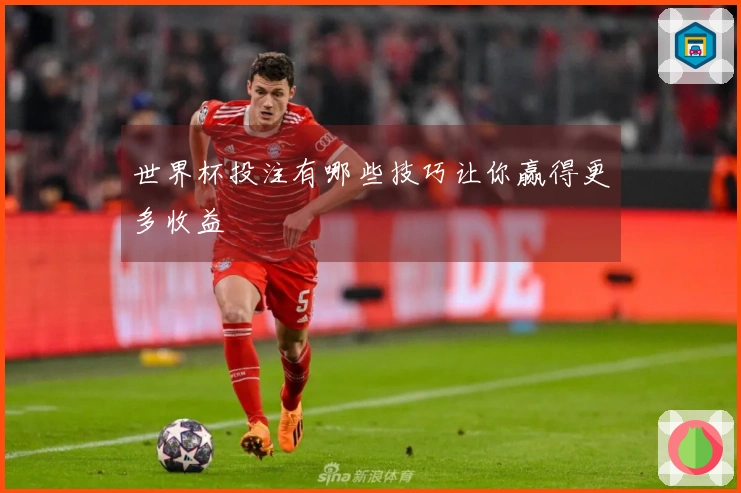 世界杯投注有哪些技巧让你赢得更多收益