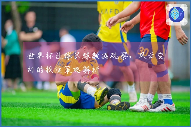 世界杯让球买球数据观察，风云变幻的投注策略解析