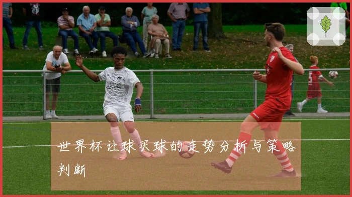 世界杯让球买球的走势分析与策略判断