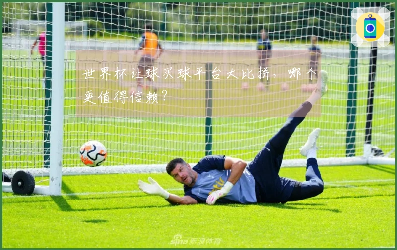 世界杯让球买球平台大比拼，哪个更值得信赖？