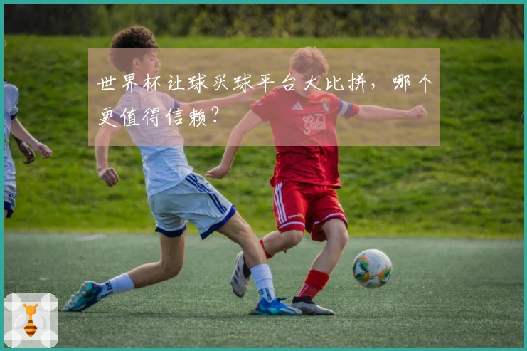 世界杯让球买球平台大比拼，哪个更值得信赖？