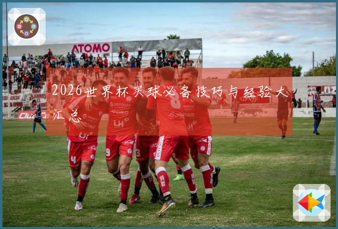 2026世界杯买球必备技巧与经验大汇总