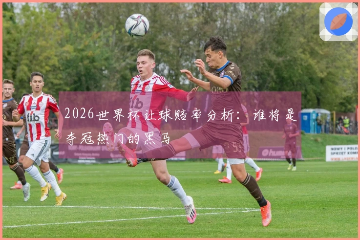 2026世界杯让球赔率分析：谁将是夺冠热门的黑马