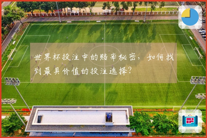 世界杯投注中的赔率秘密，如何找到最具价值的投注选择？