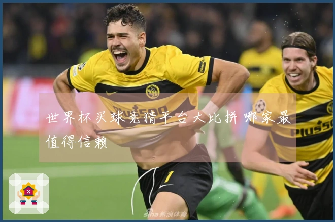 世界杯买球竞猜平台大比拼 哪家最值得信赖